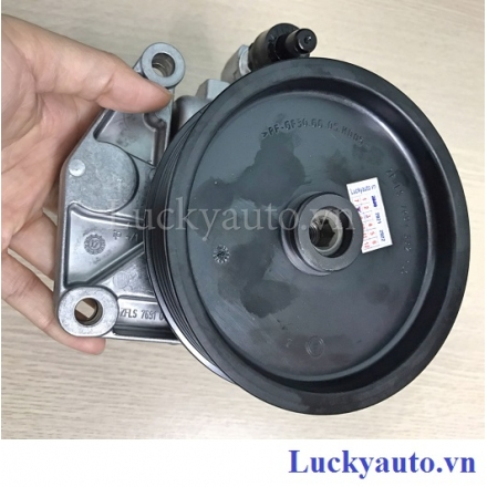 Bơm trợ lực lái xe Mercedes E500 W212_ 0054668001- 005 466 80 01